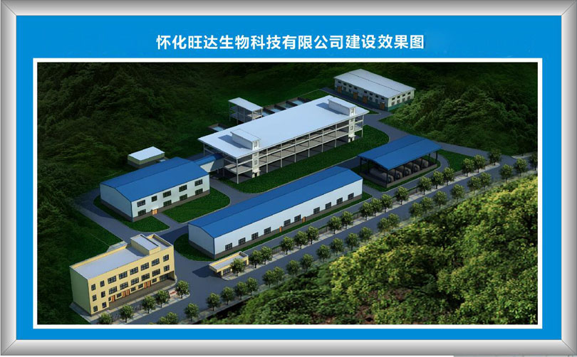 大阳城官网