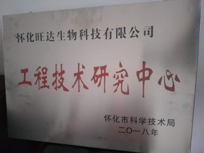 大阳城官网荣获“怀化市工程技术研究中心”称号